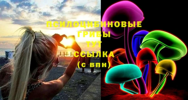 молекула духа Абинск