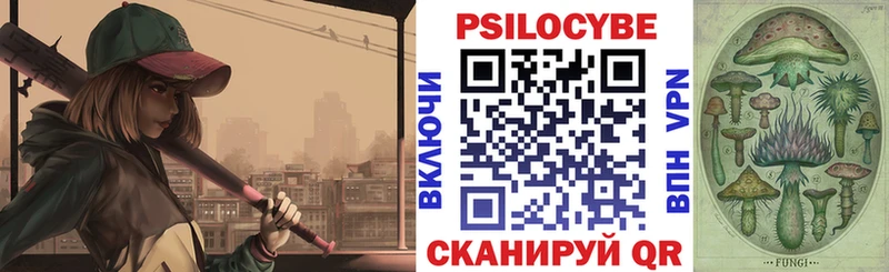 Галлюциногенные грибы Psilocybine cubensis  Сусуман 
